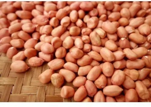 Indonesia Lifts Ban on Indian Peanuts, Exporters Hesitant Due to Strict Rules