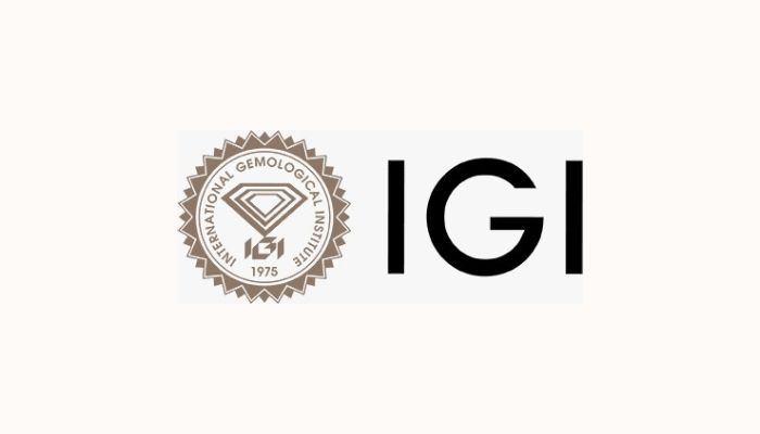 IGI ने किया AGL का अधिग्रहण, कलर्ड जेमस्टोन सर्टिफिकेशन के क्षेत्र में दुनिया भर में अपनी मौजूदगी बढ़ाने की दिशा में एक बड़ा कदम
