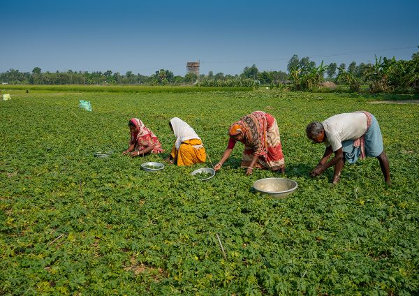 प्राकृतिक संसाधन क्यों हैं जलवायु और आय सुरक्षा का आधार